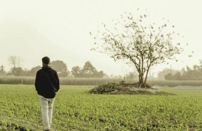 walking in nature relapse prevention