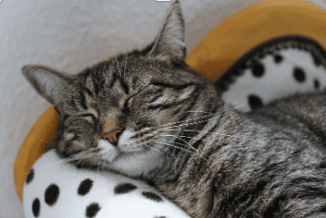 Protect your sleep for self care in recovery